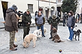 VBS_3786 - Quattordicesimo Raduno Nazionale dei Tabui 2024